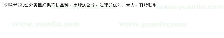 求購米徑3公分美國紅楓