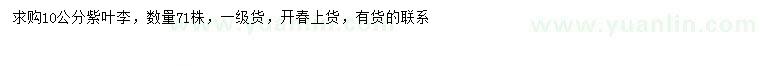 求購10公分紫葉李
