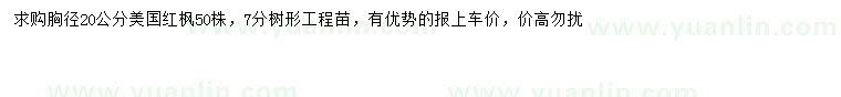 求購胸徑20公分美國紅楓