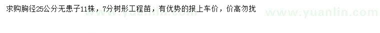 求購胸徑25公分無患子