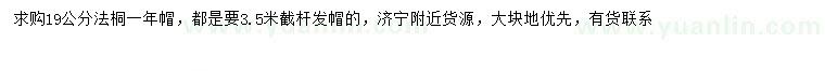 求購19公分法桐