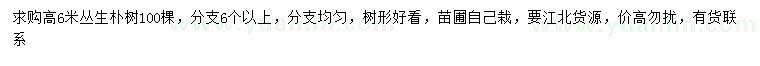 求購高6米叢生樸樹