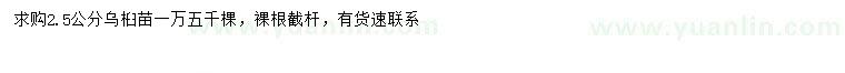 求購2.5公分烏桕