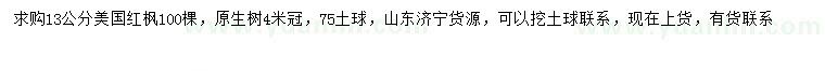 求購13公分美國紅楓