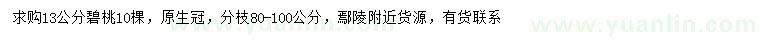 求購13公分碧桃