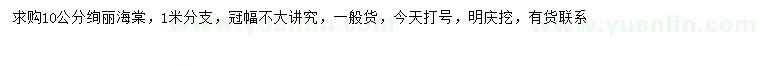 求購10公分絢麗海棠