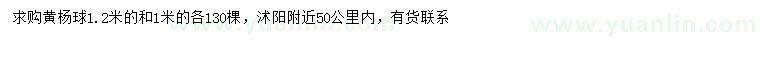 求購1、1.2米黃楊球