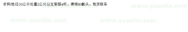 求購30量2公分叢生紫薇