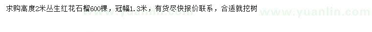求購高2米叢生紅花石榴