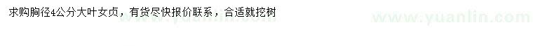 求購(gòu)胸徑4公分大葉女貞