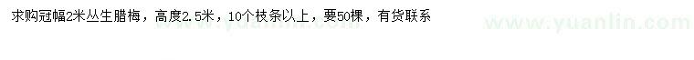 求購冠幅2米叢生臘梅