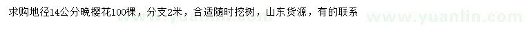 求購(gòu)地徑14公分晚櫻
