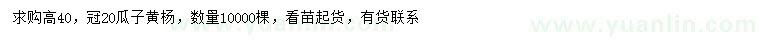 求購高40公分瓜子黃楊