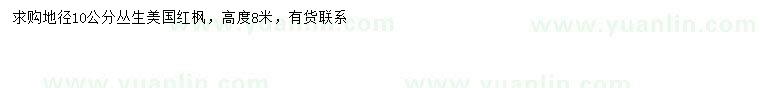 求購地徑10公分叢生美國紅楓