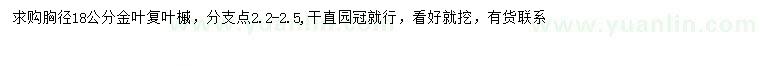 求購(gòu)胸徑18公分金葉復(fù)葉槭