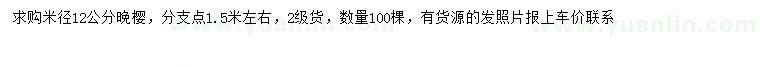 求購米徑12公分晚櫻