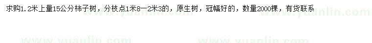 求購1.2米量15公分柿子樹