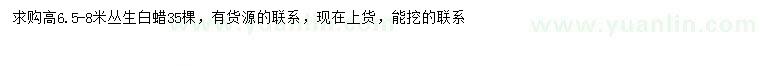 求購高6.5-8米叢生白蠟