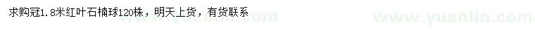 求購(gòu)冠幅1.8米紅葉石楠球