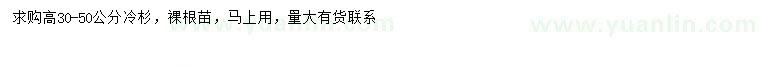 求購(gòu)高30-50公分冷杉