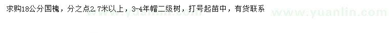 求購18公分國槐