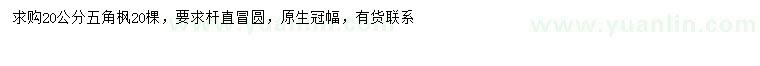 求購20公分五角楓