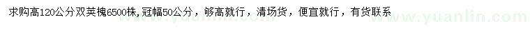求購(gòu)高120公分雙莢槐