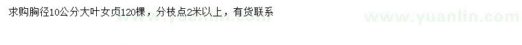 求購(gòu)胸徑10公分大葉女貞