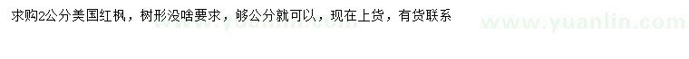 求購2公分美國紅楓
