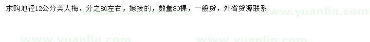 求購地徑12公分美人梅