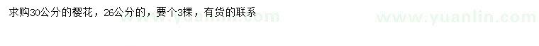 求購26、30公分櫻花