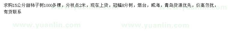 求購15公分甜柿子樹