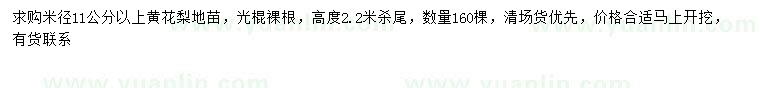 求購米徑11公分以上黃花梨