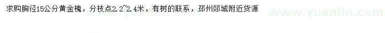 求購胸徑15公分黃金槐
