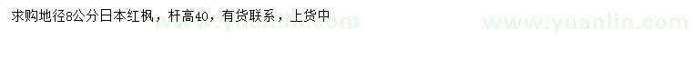 求購地徑8公分日本紅楓