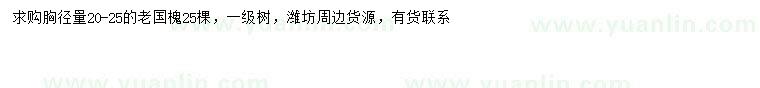 求購胸徑20-25公分國槐
