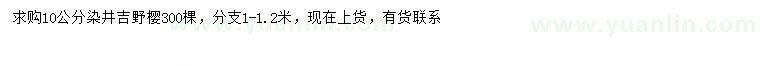 求購10公分染井吉野櫻