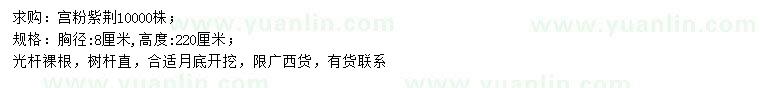 求購(gòu)胸徑8公分宮粉紫荊