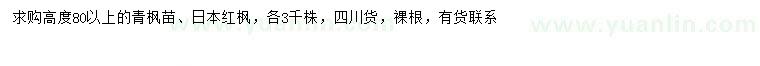 求購高80公分以上青楓、日本紅楓