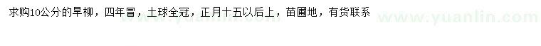 求購18公分旱柳