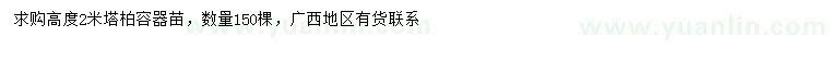 求購高2米塔柏