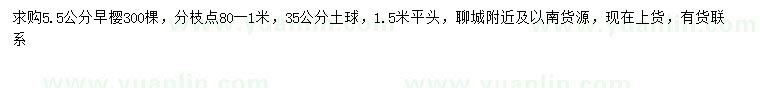 求購5.5公分早櫻