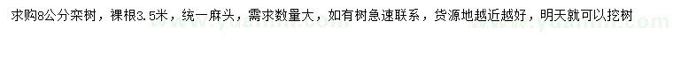求購8公分欒樹