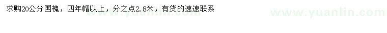 求購(gòu)20公分國(guó)槐
