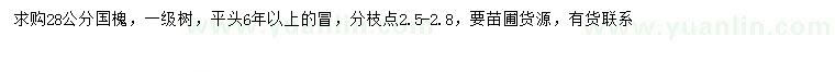 求購28公分國槐
