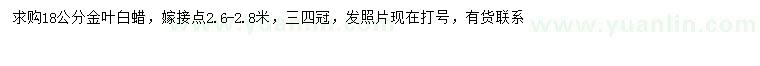 求購18公分金葉白蠟