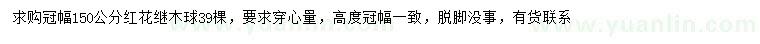 求購冠幅150公分紅花繼木球