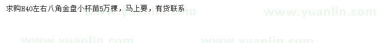 求購高40公分八角金盤