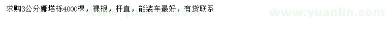 求購(gòu)3公分娜塔櫟