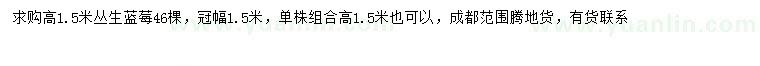 求購高1.5米叢生藍莓